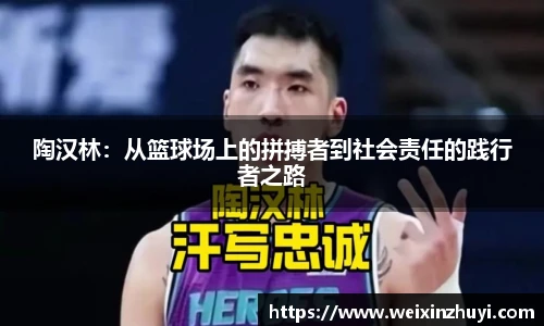 陶汉林：从篮球场上的拼搏者到社会责任的践行者之路