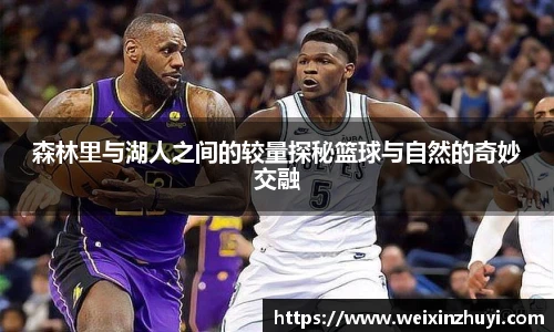 森林里与湖人之间的较量探秘篮球与自然的奇妙交融