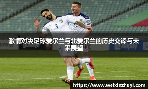 激情对决足球爱尔兰与北爱尔兰的历史交锋与未来展望
